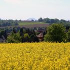 Den Blick nach Südosten mit Gegenlicht nicht gescheut in der Sächischen Schweiz...