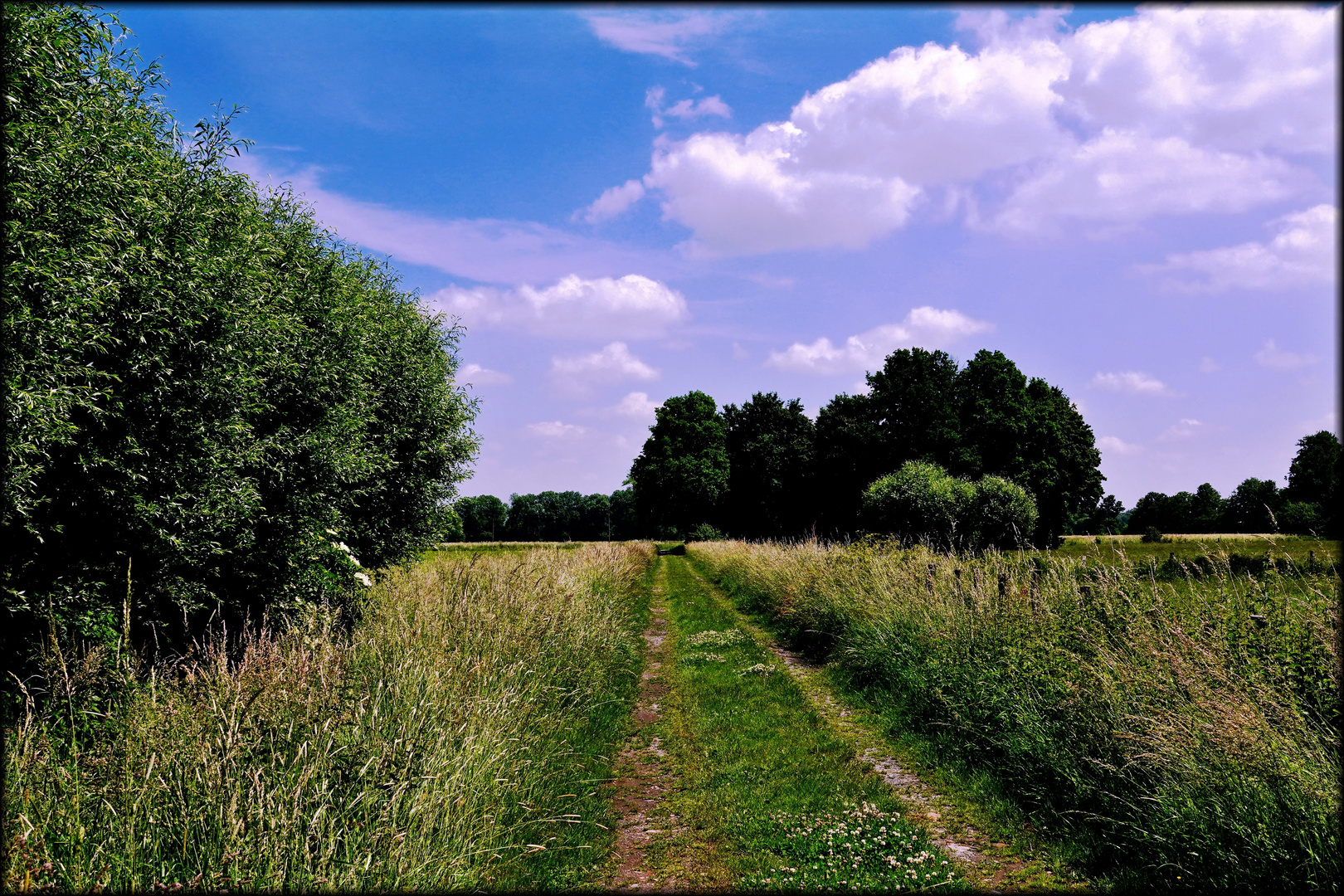 Den Blick nach vorn gerichtet ...