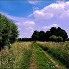 Den Blick nach vorn gerichtet ...