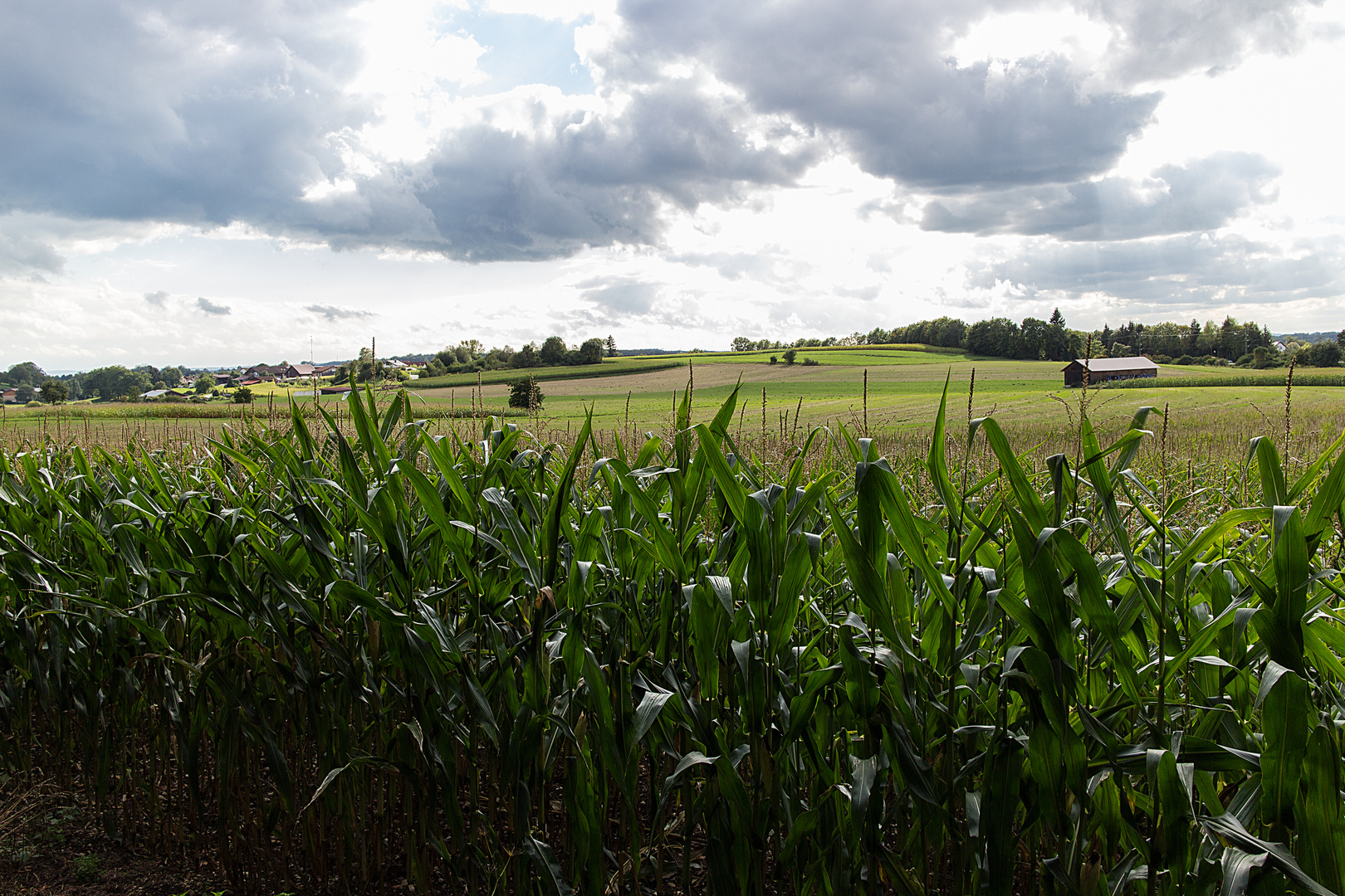 Den Blick schweifen lassen