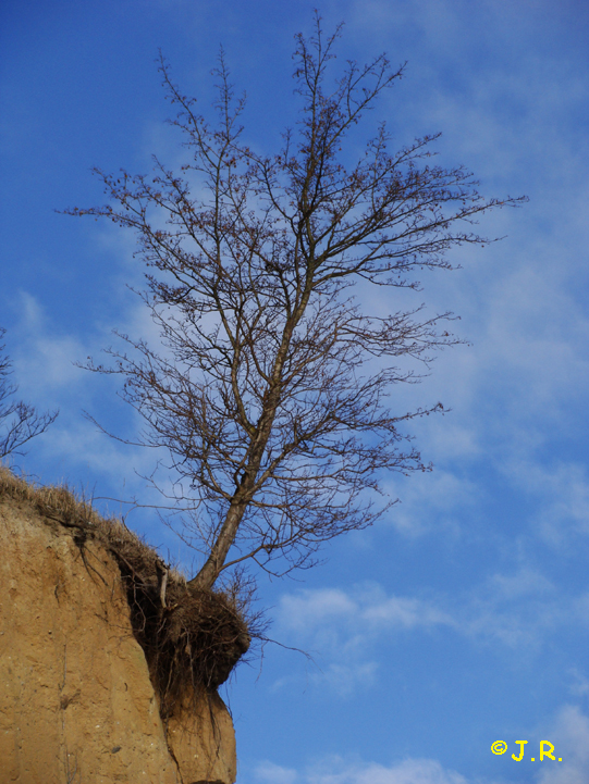 Der boden unter den füßen stream