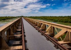 Den Bosch/Moerputten - Moerputtenbrug/Halvezolenlijntje - 02