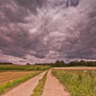 Den dunklen Wolken entgegen