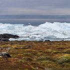 Den Eisfjord