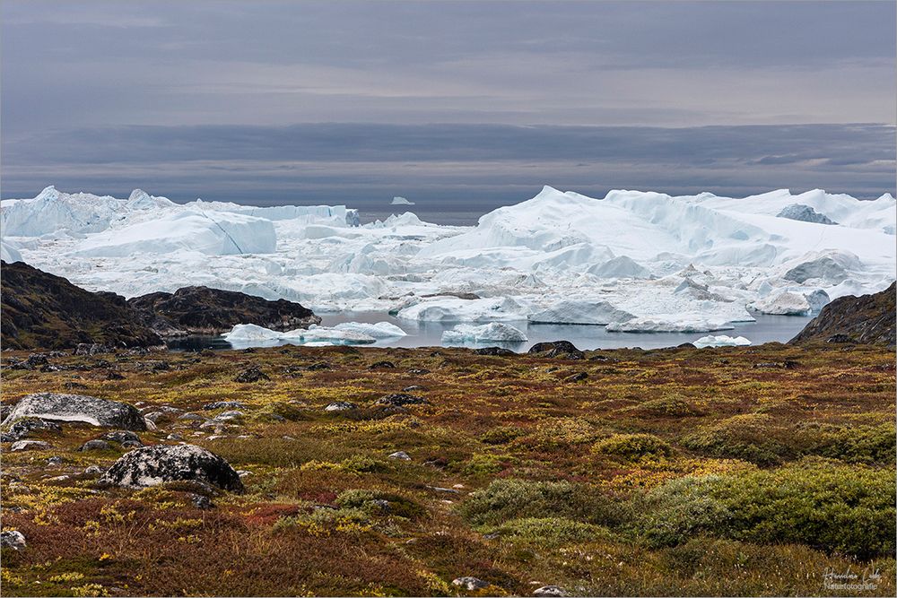 Den Eisfjord