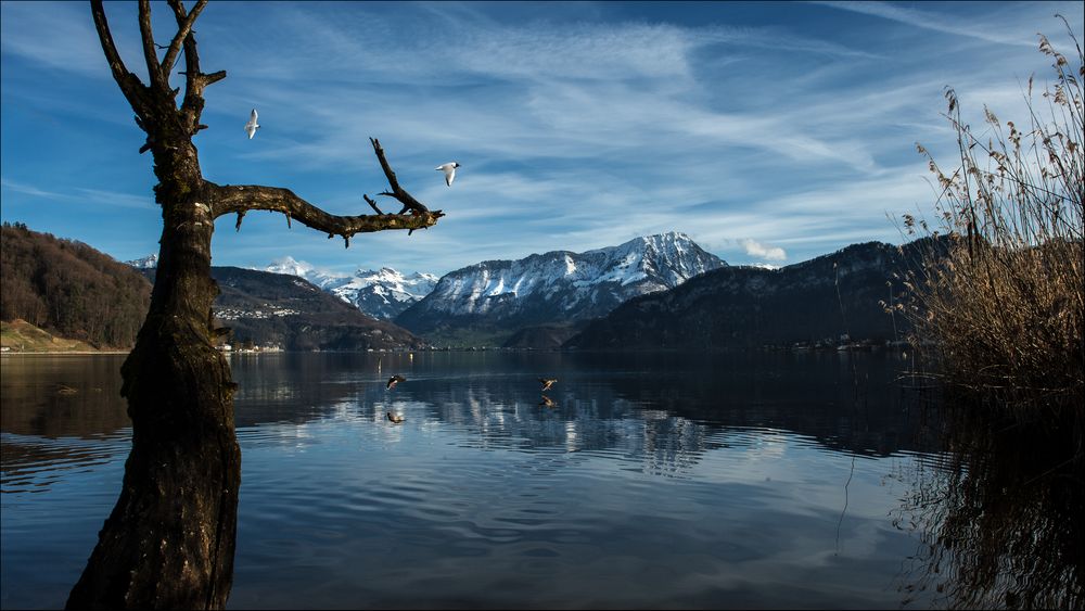 Den Feierabend am See geniessen