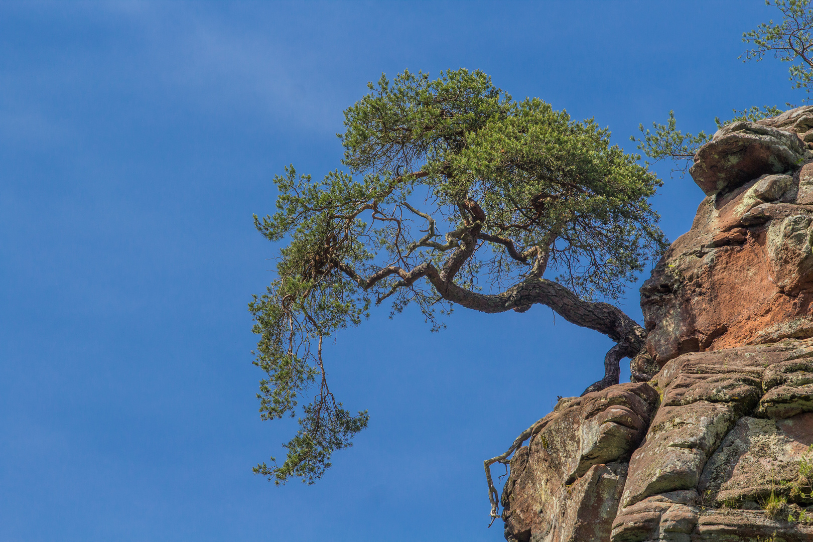 Den Felsen trotzend