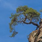 Den Felsen trotzend