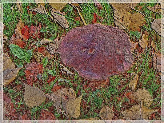 Den Filter Relief von GIMP mal ausprobiert 