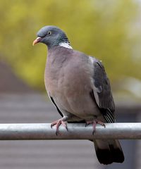 Den Fotografen im Blick