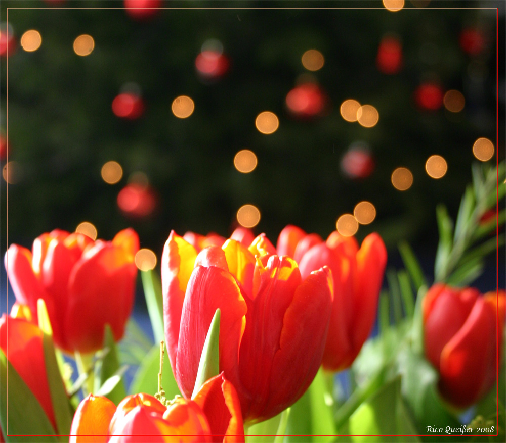 den Frühling...