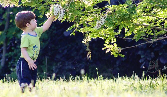 den Frühling begrüßen