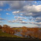 den Frühling einfangen