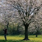 Den Frühling einfangen