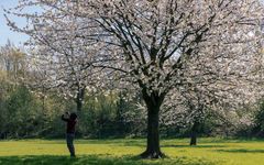 Den Frühling einfangen