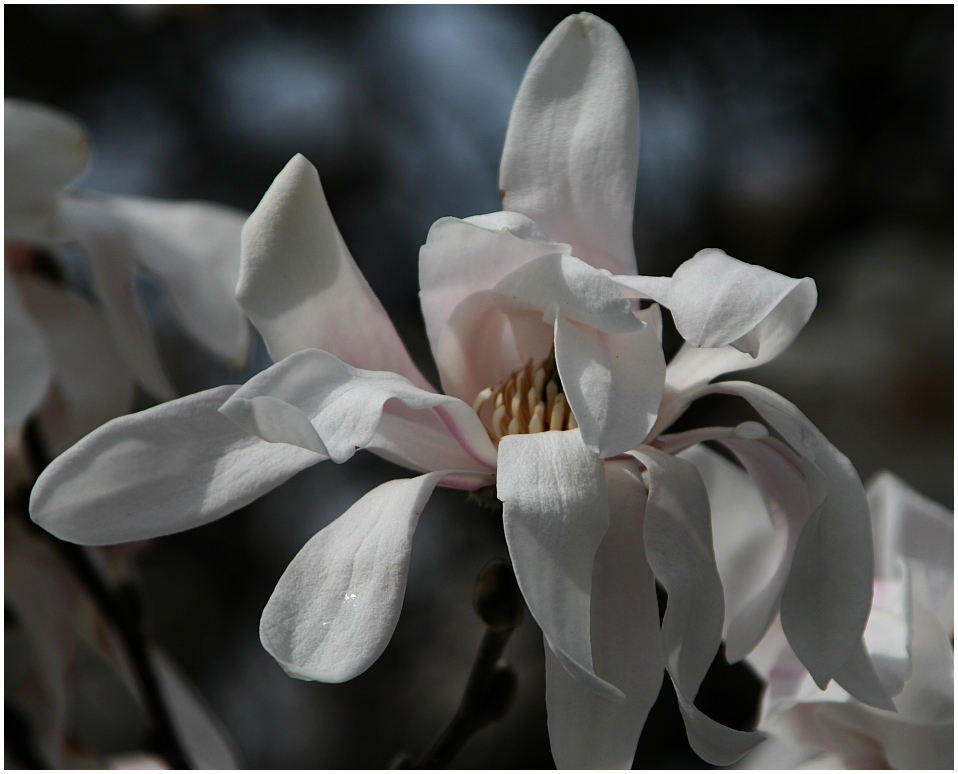 Den Frühling entdeckt!