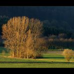 ...den Frühling erahnen... - ...ein Intermezzo...