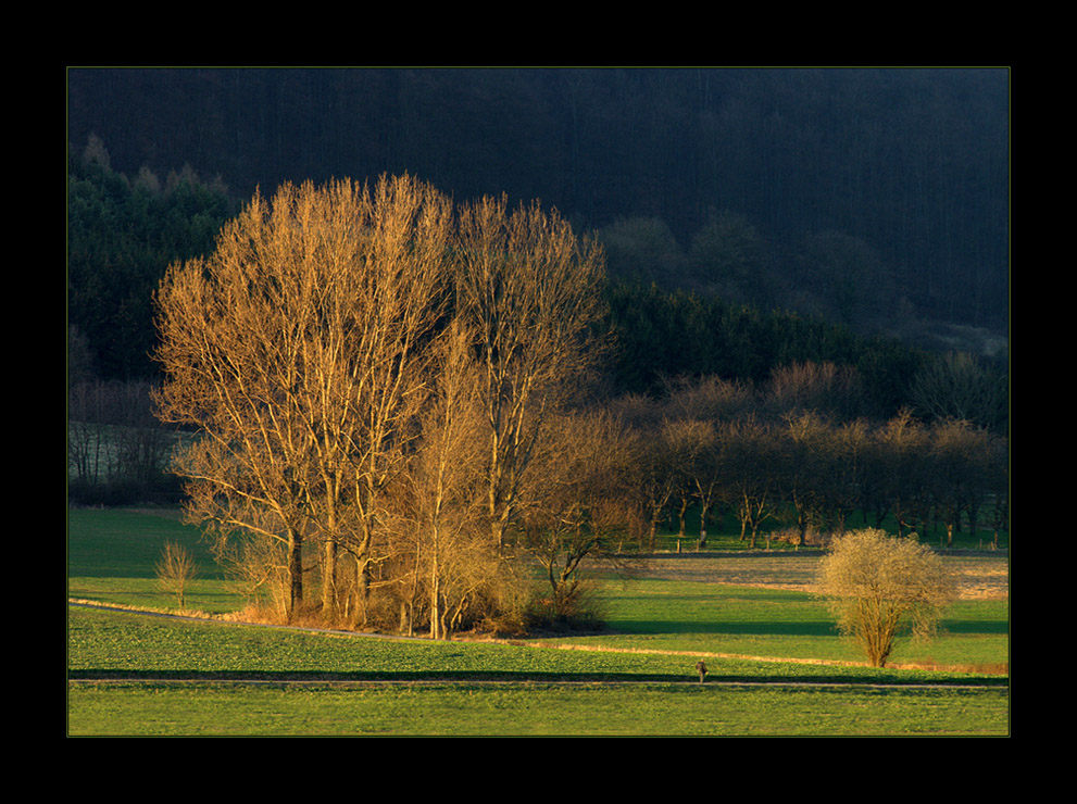 ...den Frühling erahnen... - ...ein Intermezzo...