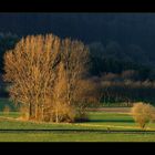 ...den Frühling erahnen... - ...ein Intermezzo...