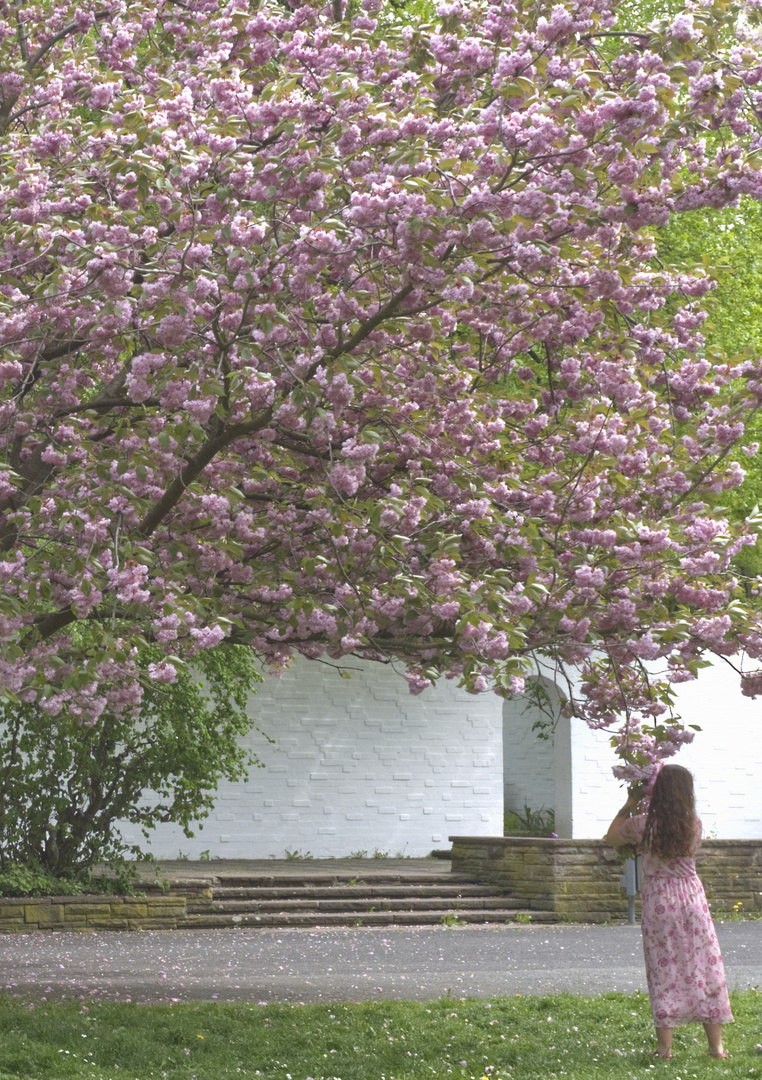 den Frühling fangen ...