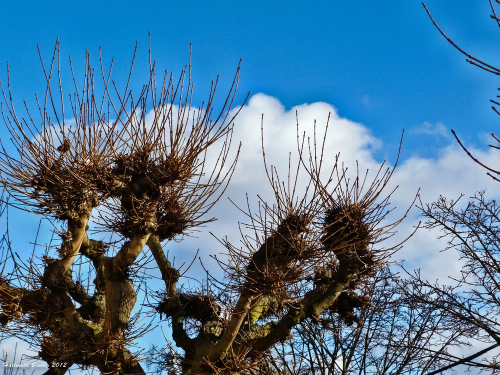 den Frühling geniessen