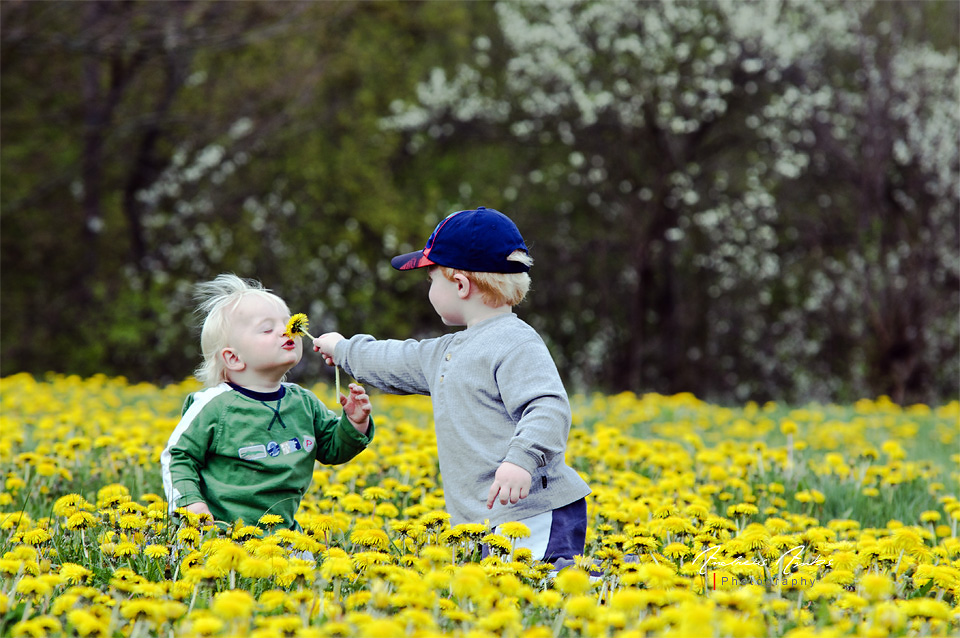 Den Frühling genießen