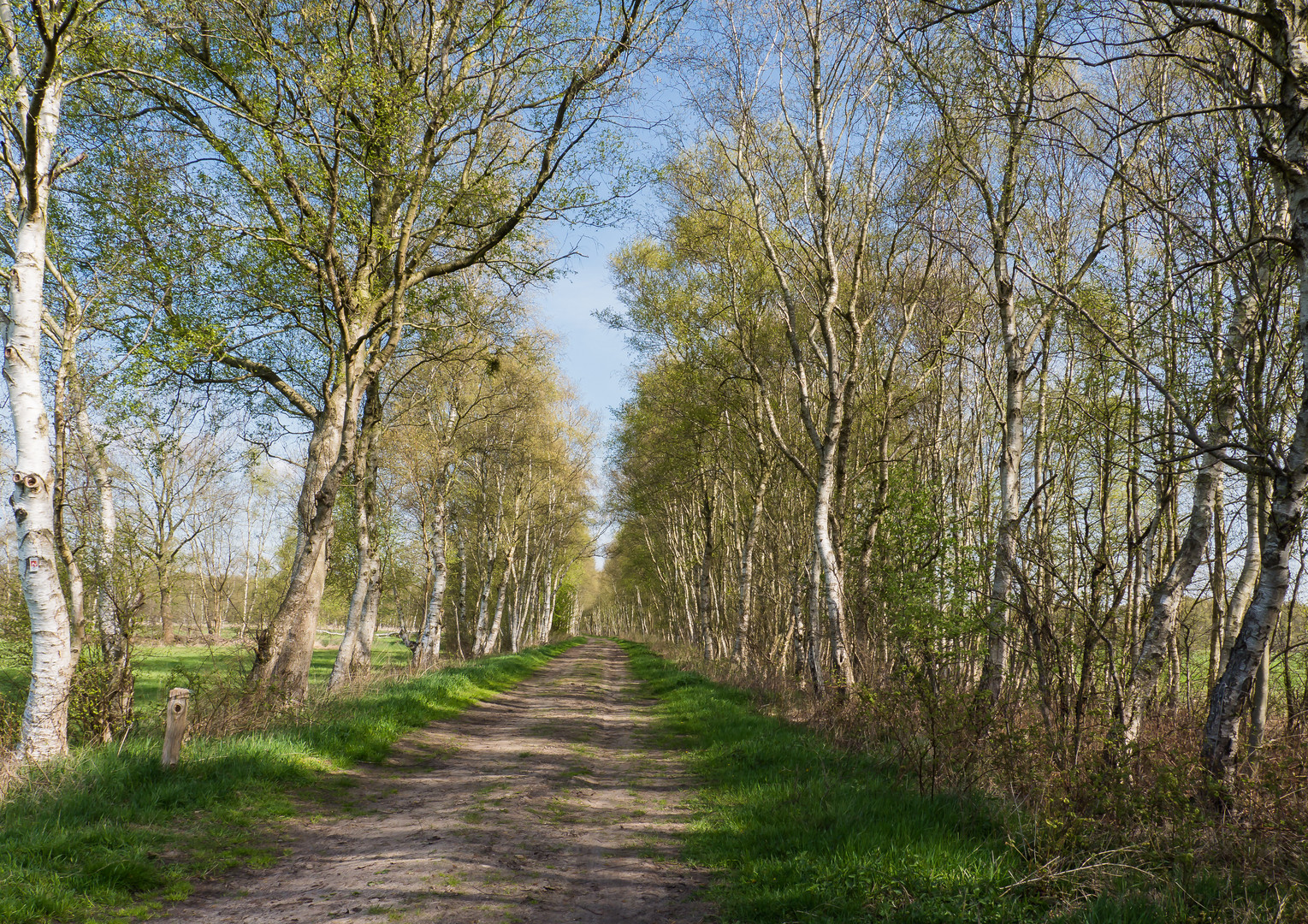 Den Frühling genießen ...