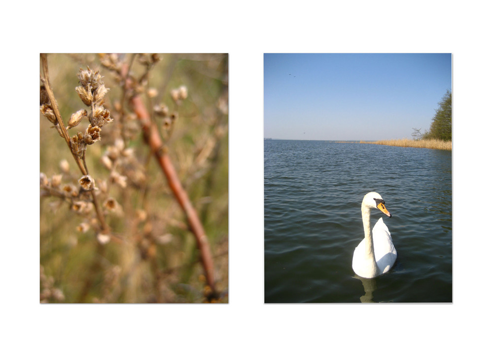 [den frühling genießen]