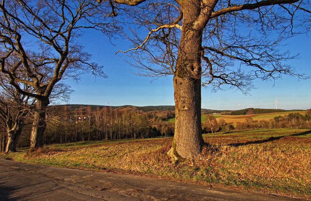 Den Frühling genießen