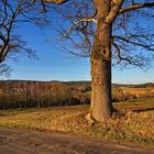 Den Frühling genießen