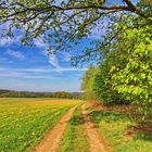 Den Frühling genießen