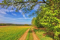 Den Frühling genießen