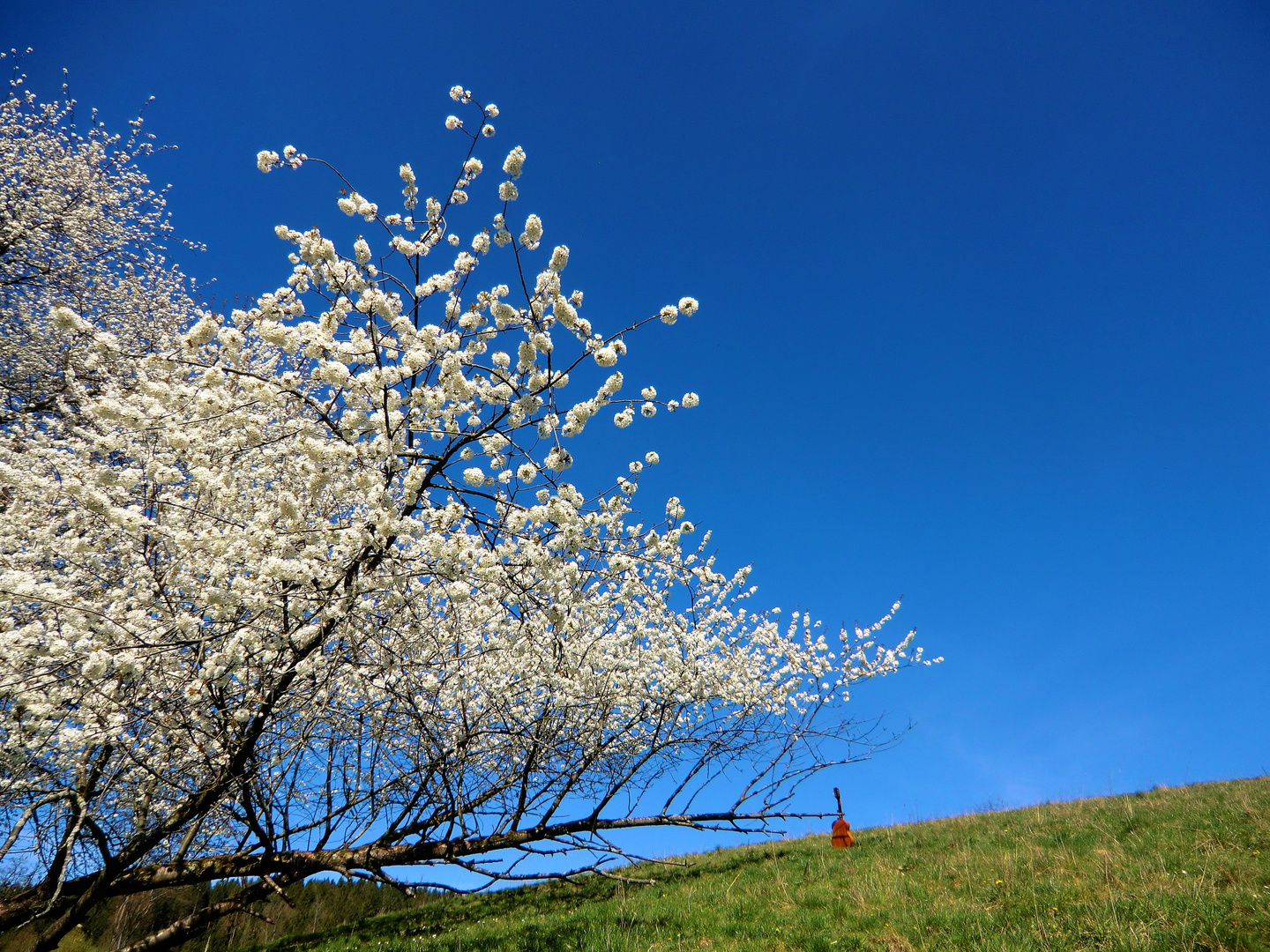 Den Frühling im Schlepptau