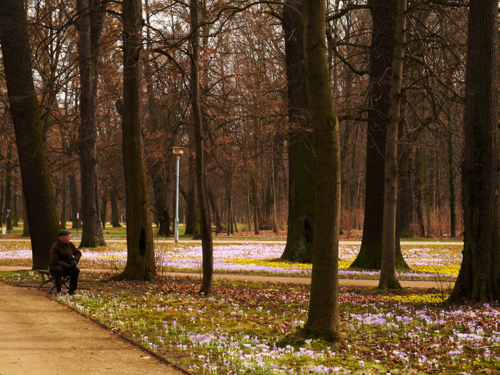 den Frühling kommen sehen