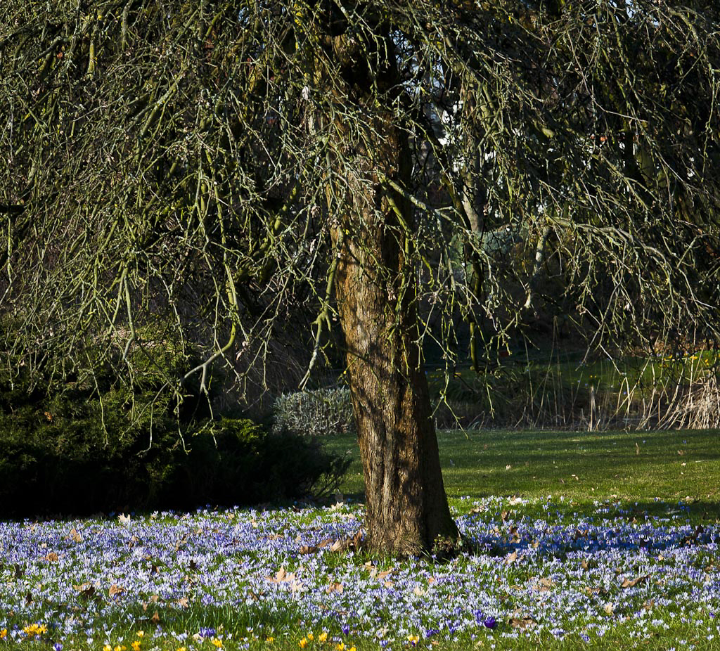 Den Frühling zu Füßen…