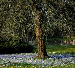 Den Frühling zu Füßen…