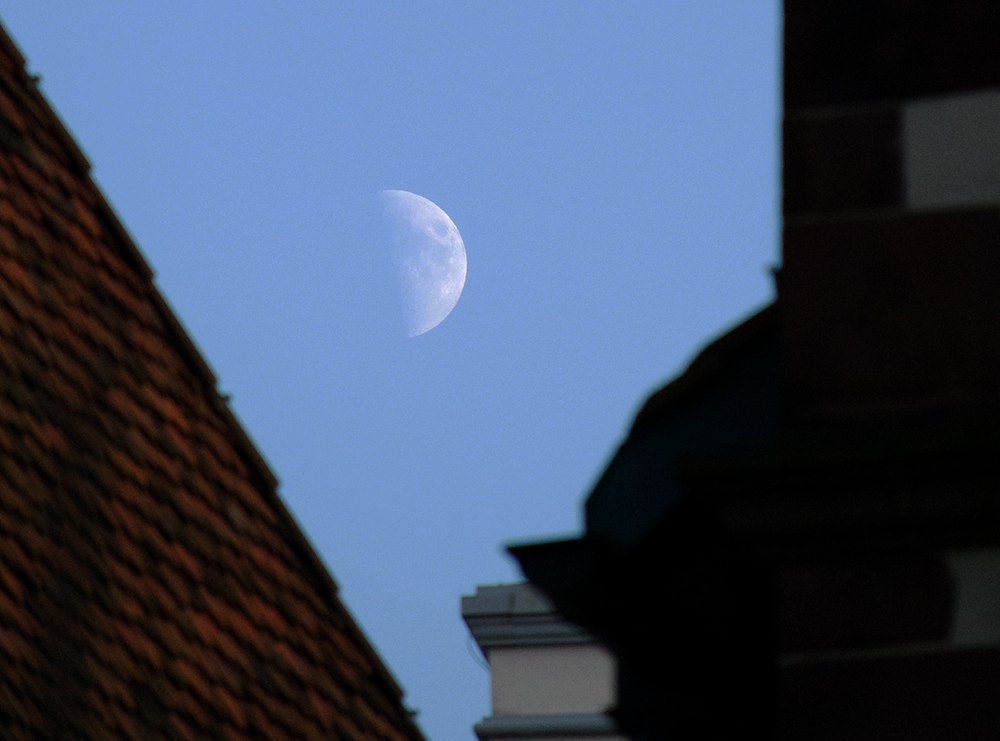 den ganzen Mond