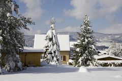 Den ganzen Winter hatten wir keinen Schnee, jetzt ist er da