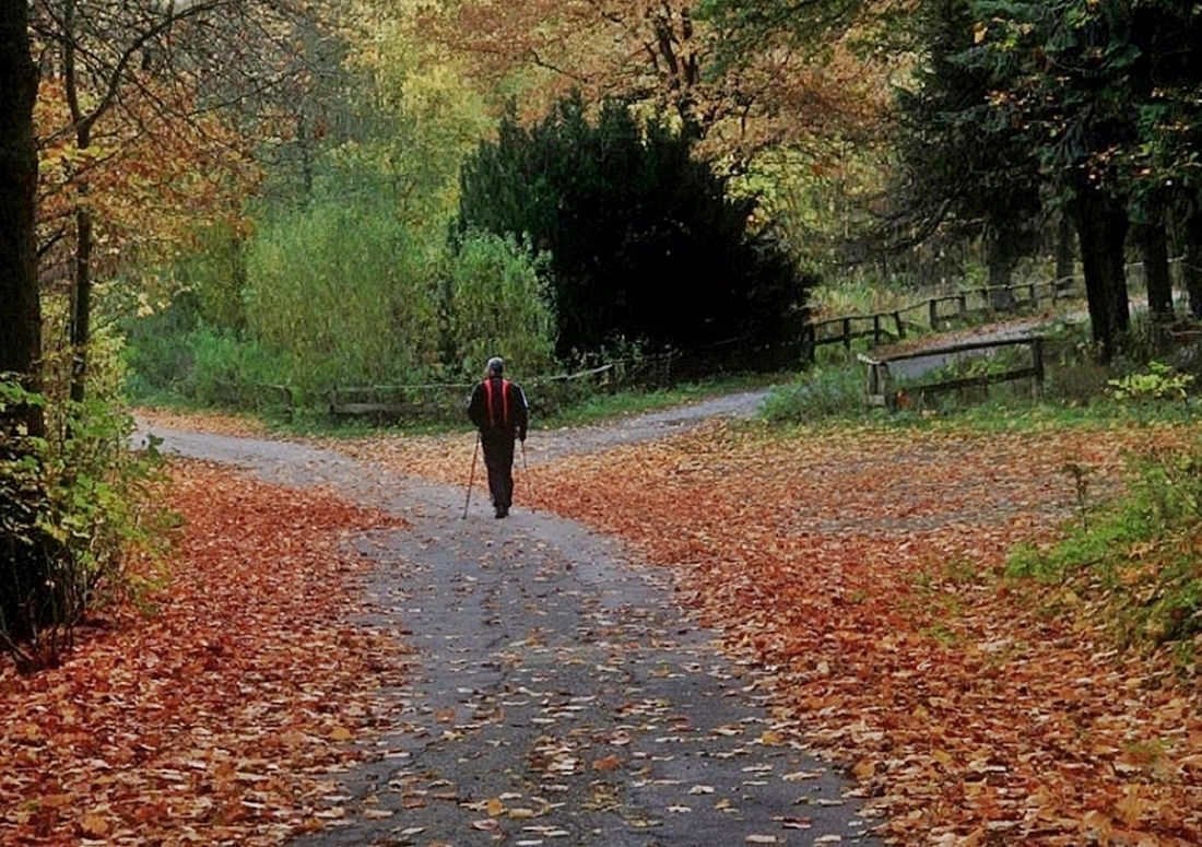 den Gedanken freien Lauf lassen