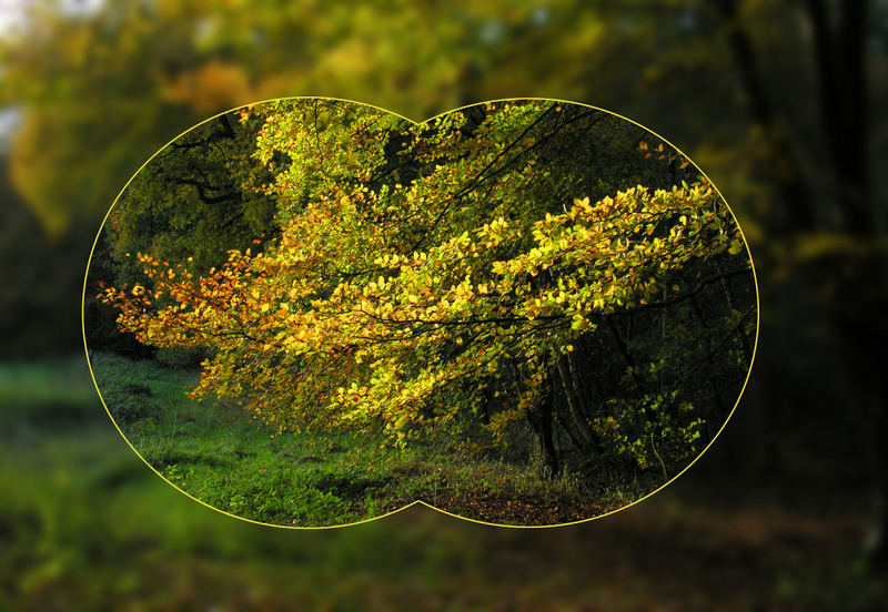 Den goldenen Herbst voll im Visier