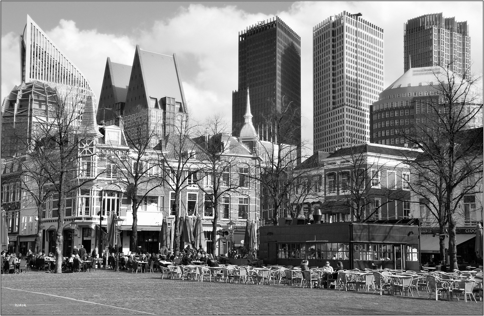 Den Haag