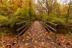 Den Haag - Haagse Bos - 04