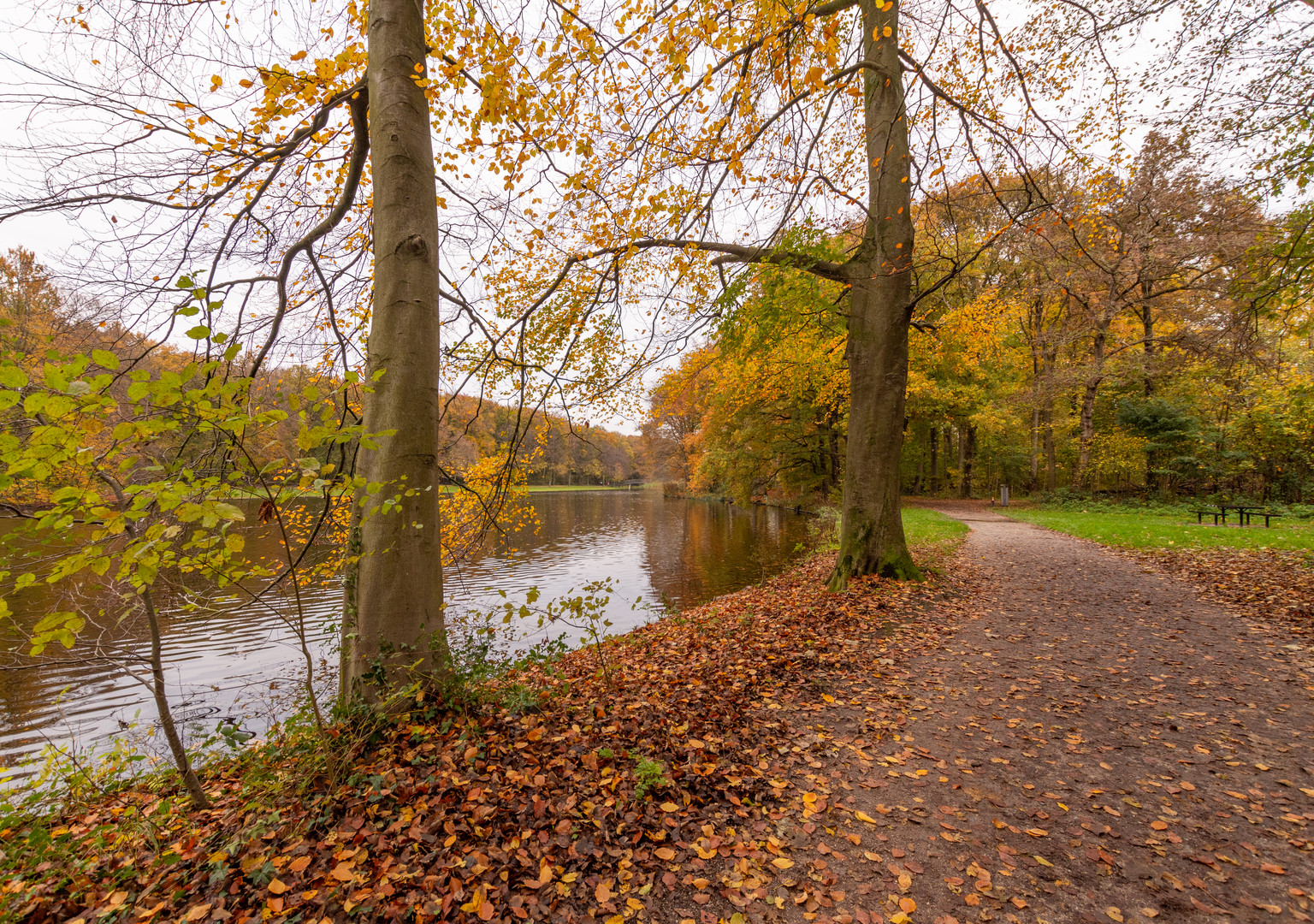 Den Haag - Haagse Bos - 12