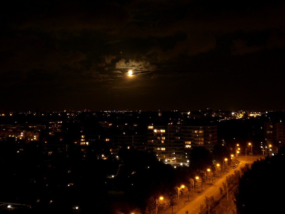 Den Haag Skyline