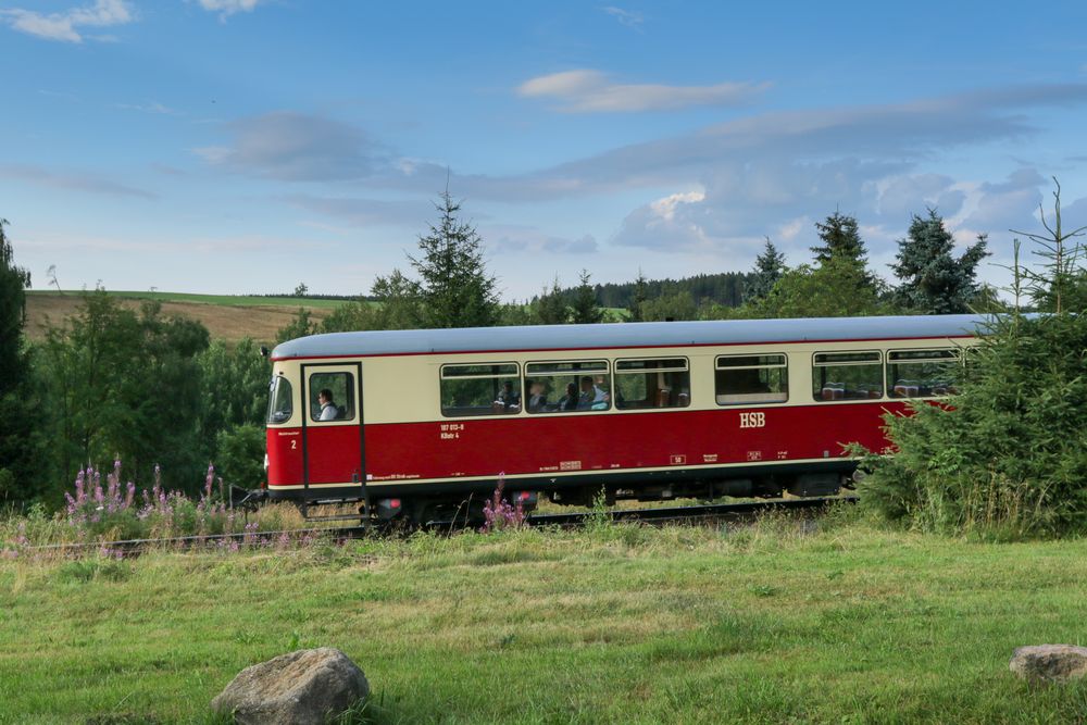 Den Harz erleben