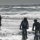 Den Helder -Petten