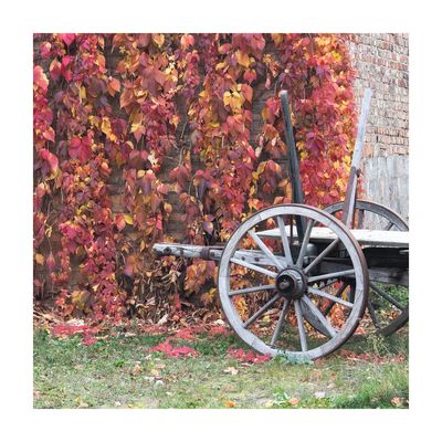 den Herbst aufladen ...