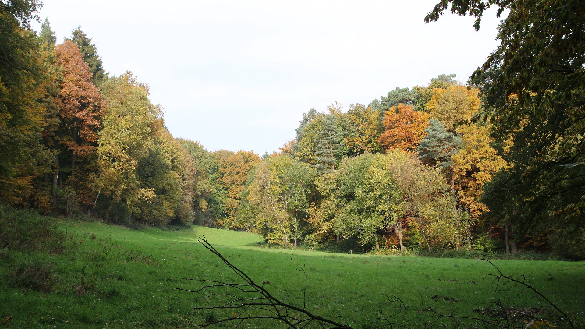 den Herbst eingefangen