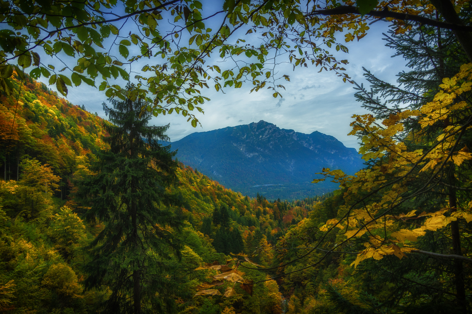 ....den Herbst einläuten....