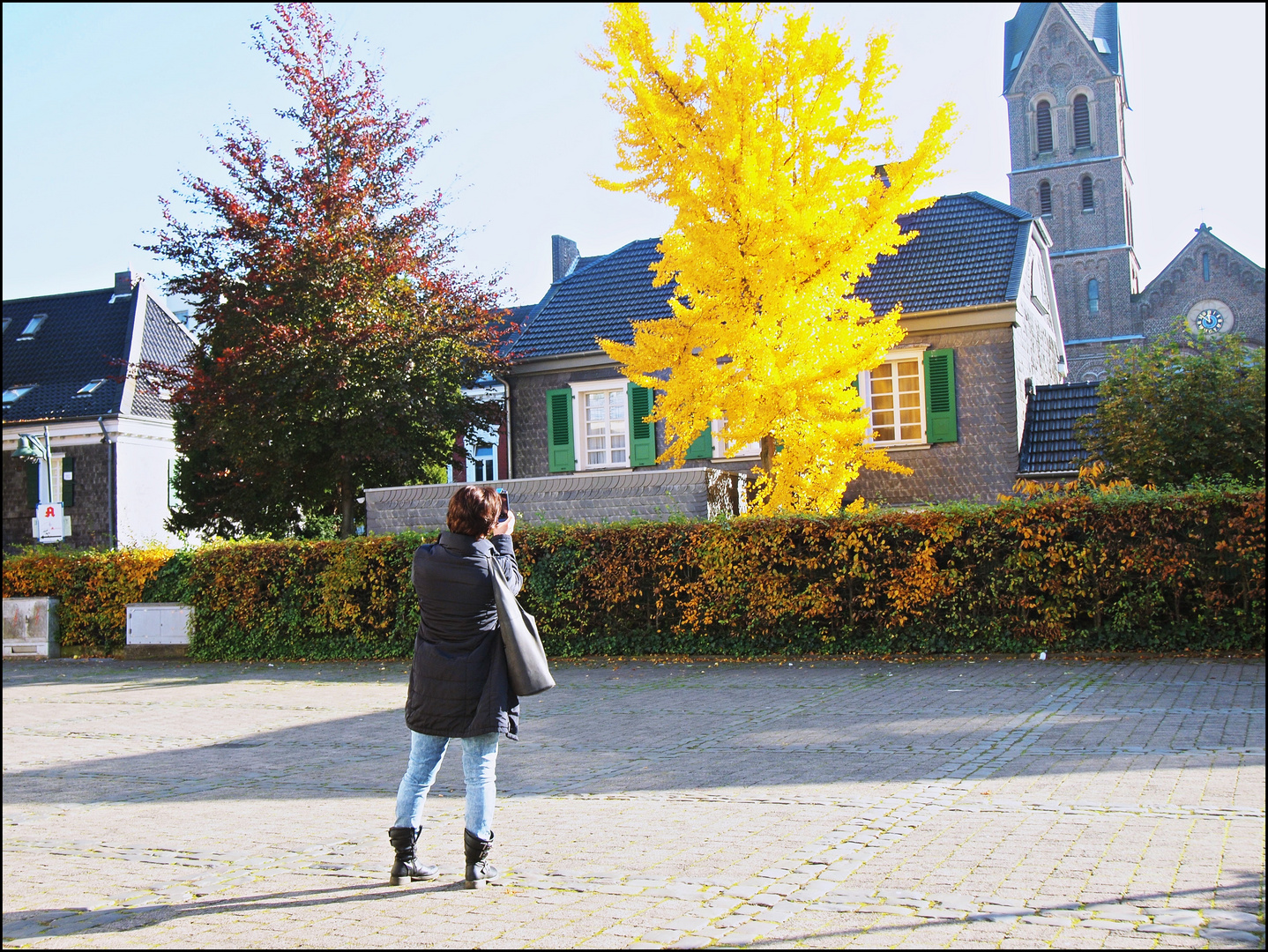 Den Herbst festhalten